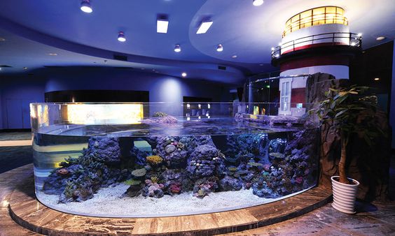 What Are the Advantages of Plexiglass Fish Tanks?